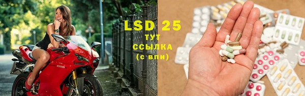 стафф Дмитров