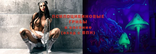 мдпв Дмитровск