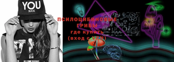 стафф Дмитров