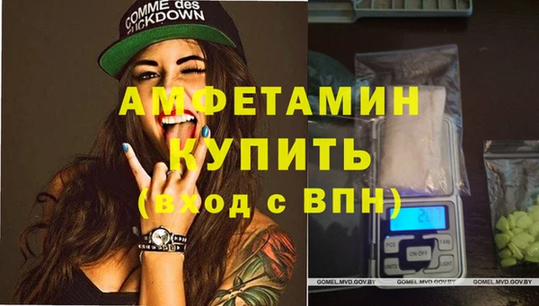 мдпв Дмитровск