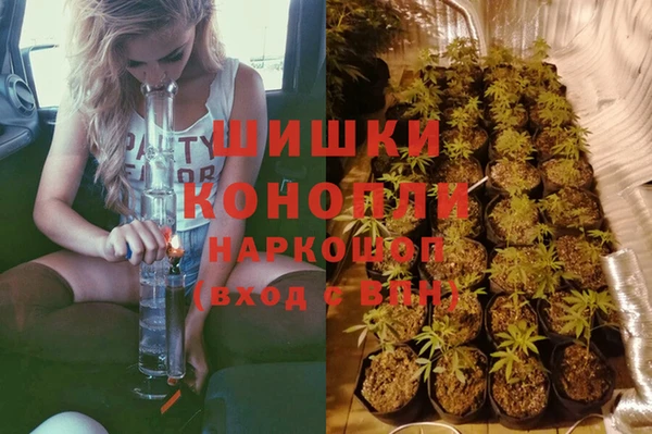 дживик Дмитриев
