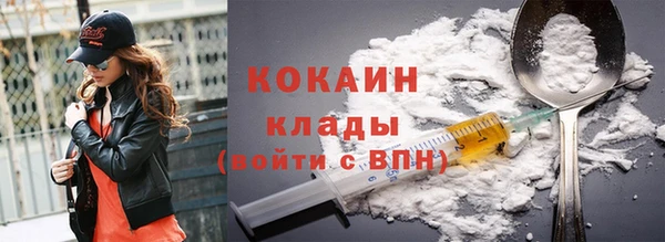 мдпв Дмитровск