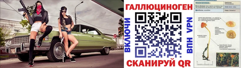 Купить  Козельск  Псилоцибиновые грибы мицелий 